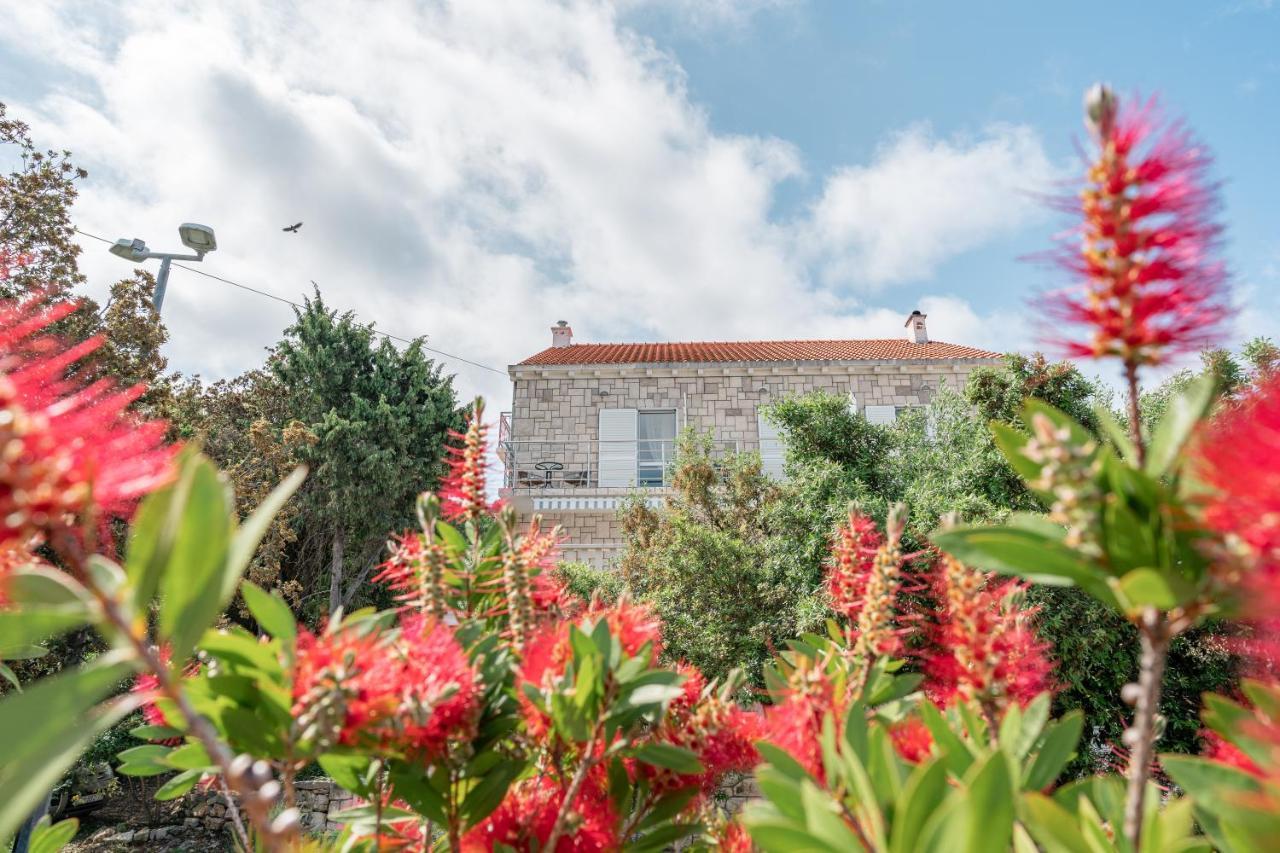 פומנה Guesthouse Kamarin מראה חיצוני תמונה